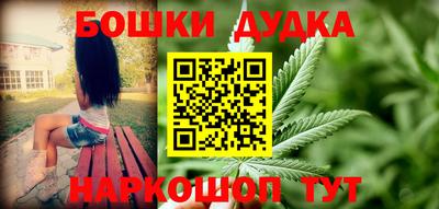 шишки Новодвинск